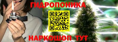 jwh Долгопрудный