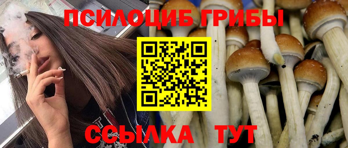 Галлюциногенные грибы мухоморы Гуково